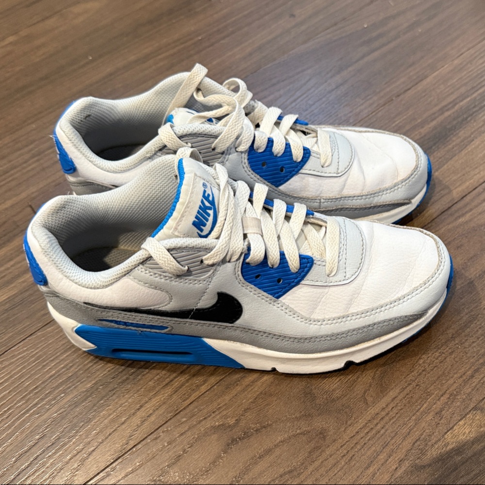 Nike Air Max White and Blue Shoes